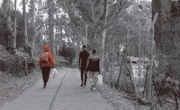 Obóz Las Raices na Teneryfie

